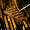 Roasting Sticks