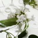 PHLUR Perfume